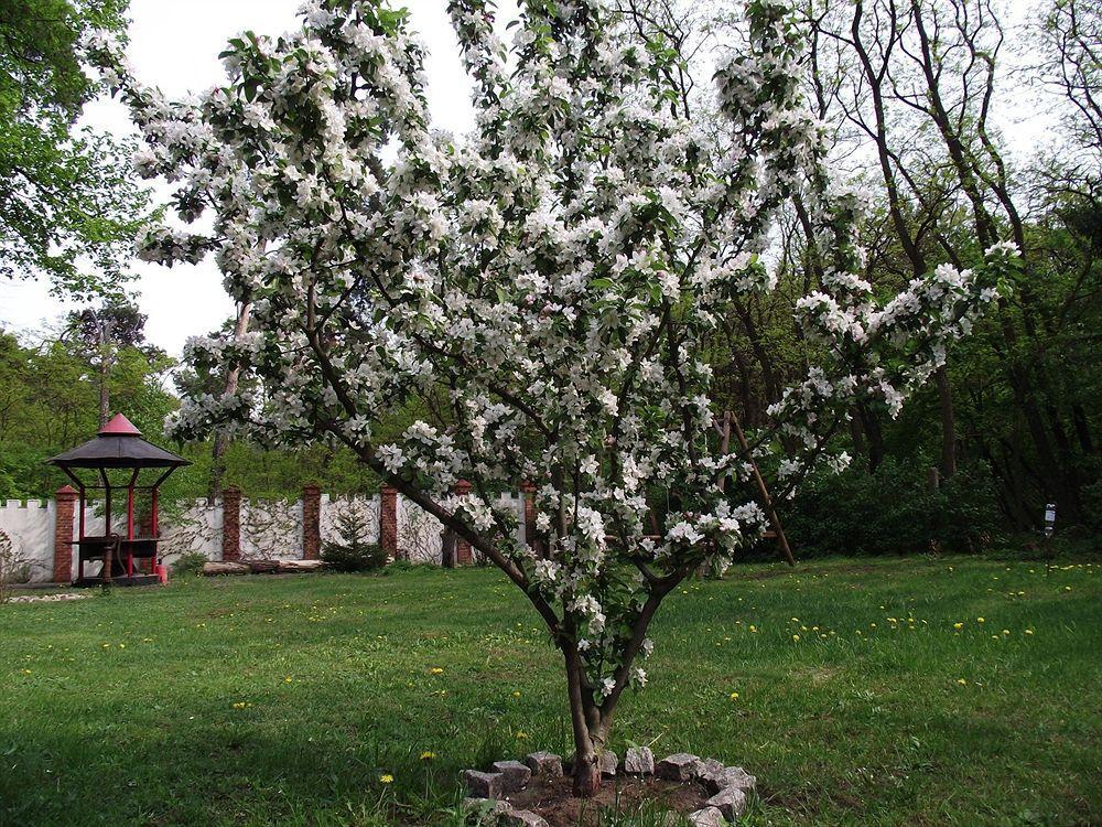 Waldschloesschen Acomodação com café da manhã Mittenwalde Exterior foto